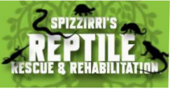 reptile show