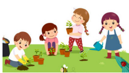 gardening series