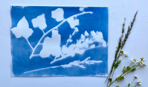 sun prints