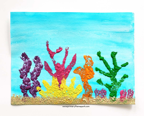 coral reef