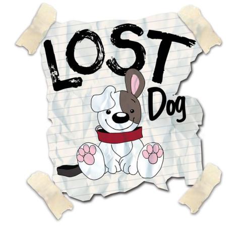 missing dog
