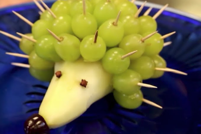 fruit pets