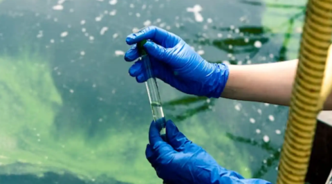 water testing