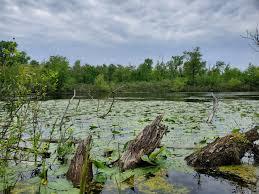 sandridge nature center