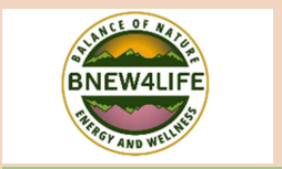 Circle Logo with BNew4Life in center and the words surrounding it reading Balance of Nature Energy and Wellness