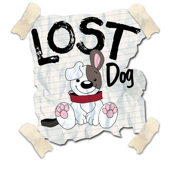 missing dog